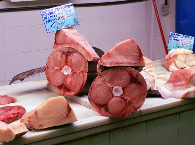 Mercado de Almería - Fotos